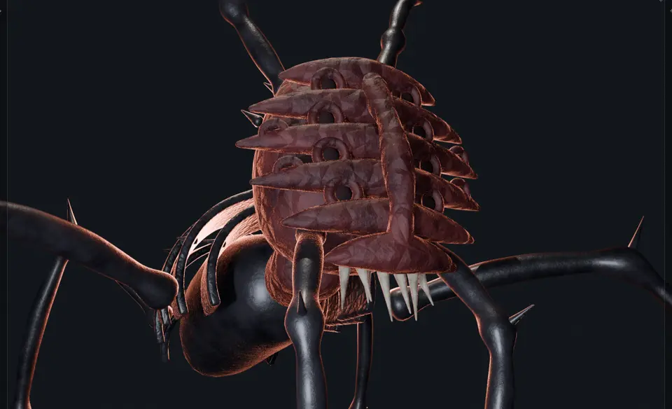 Close up of the ribbed face, pores and teeth